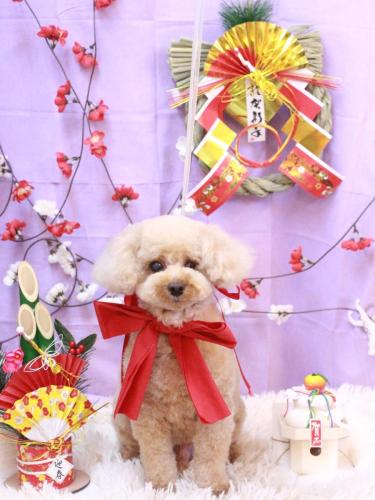 20230120クッキーくん